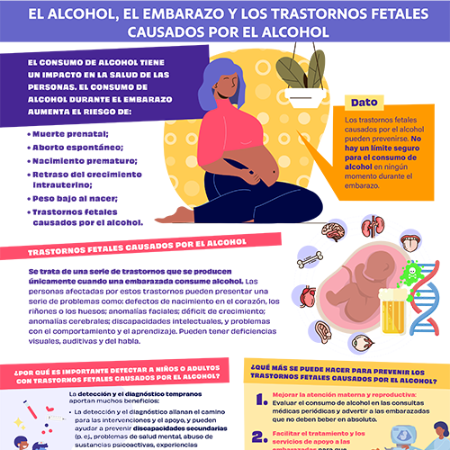 El alcohol, el embarazo y los trastornos fetales causados por el alcohol
